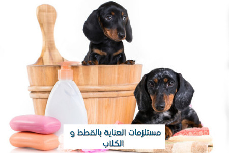 مستلزمات العناية والنظافه للقطط والكلاب