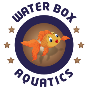 waterbox