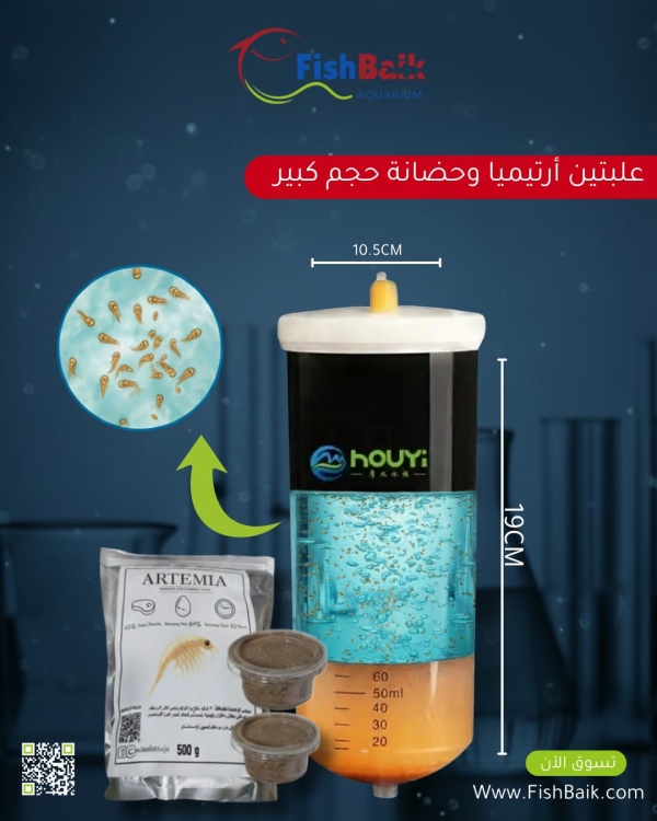 أرتيميا وحاضنة