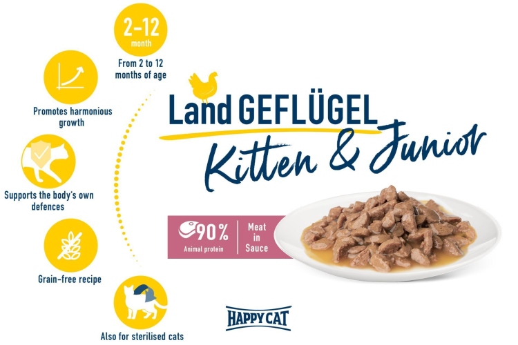 هبي كات دجاج للقطط الصغيرة 