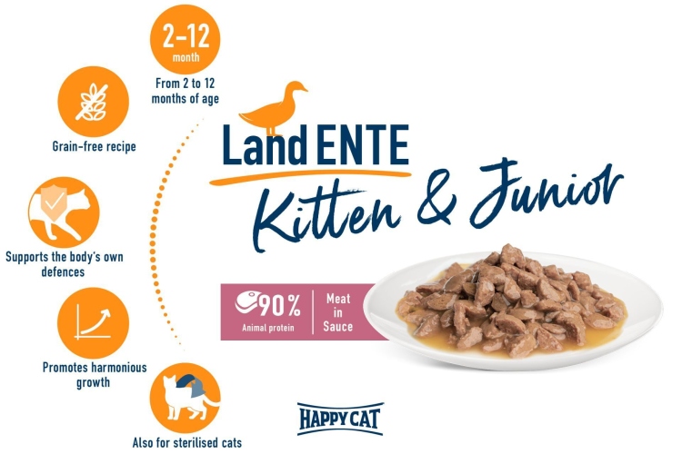 هبي كات كيتن بط كيتن جونيور 