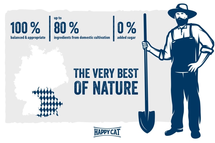 هبي كات منكس معقم سالمون 