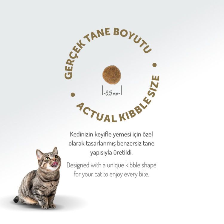 طعام فيليسيا المدعم بالكولاجين والمضاد للحساسية بنكهة لحم الضأن للقطط الصغيرة والأمهات 2 كجم 