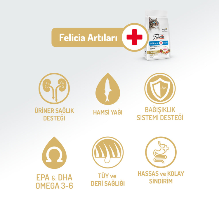 طعام فيليسيا للقطط البالغة بنكهة السلمون، معزز بالكولاجين، مضاد للحساسية، 2 كجم