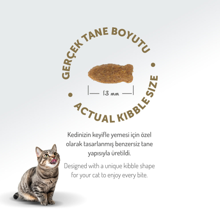 طعام فيليسيا للقطط البالغة بنكهة السلمون، معزز بالكولاجين، مضاد للحساسية، 2 كجم