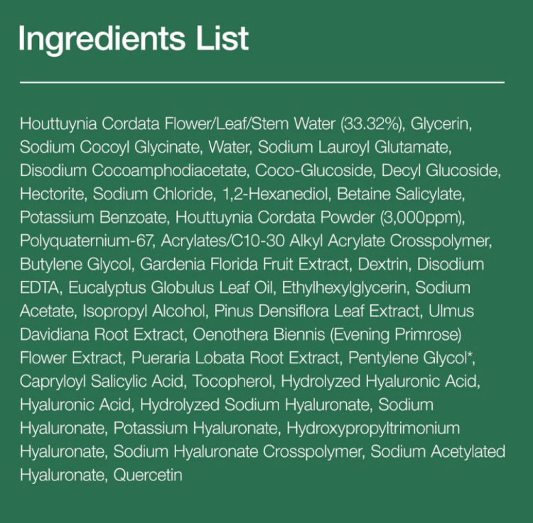 Anua, Heartleaf Quercetinol Pore Deep Cleansing Foam