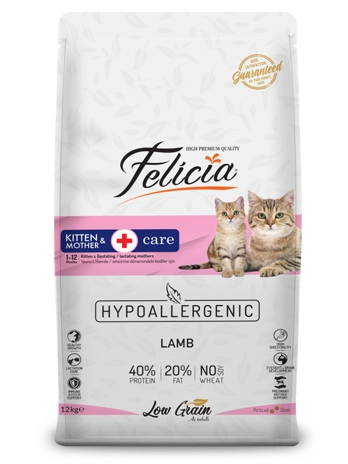 Felicia kitten and mother 500 gr