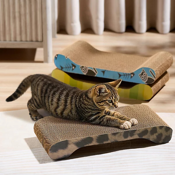 Cat Scratching Board