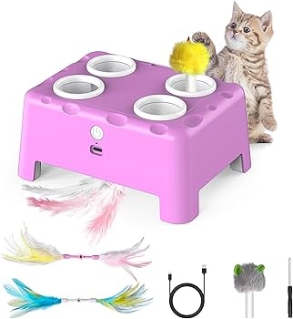 Magic electric cat toy in the shape of a box