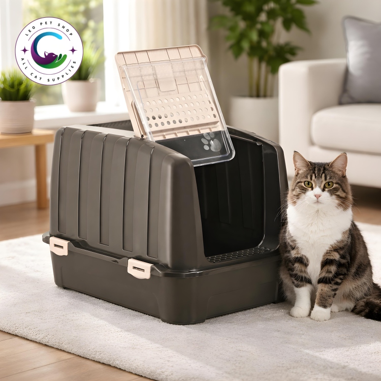 لتر بوكس مغلق حجم كبير 