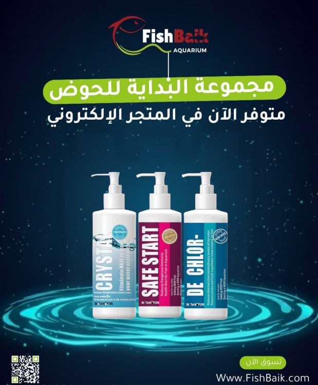   مجموعة  بداية الحوض