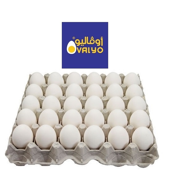 اوفاليو بيض اكس لارج