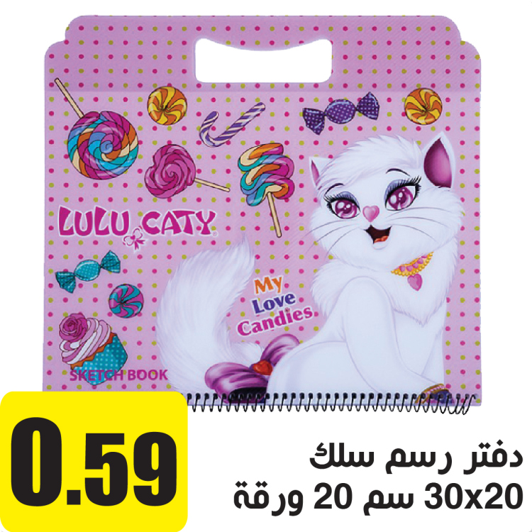 دفتر رسم سلك غلاف رسومات لامعة