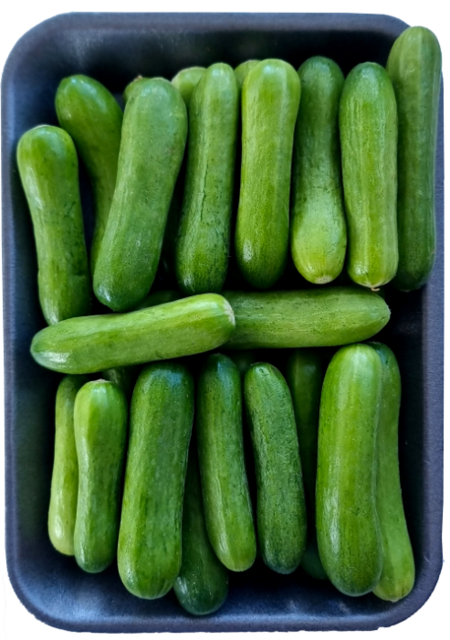 خيار بيبي-محلي