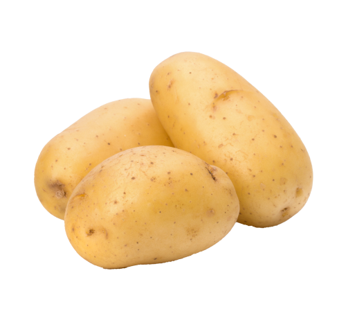 بطاطا محلية