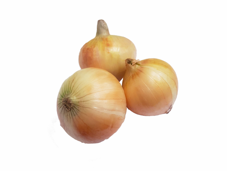 بصل ناشف بلدي