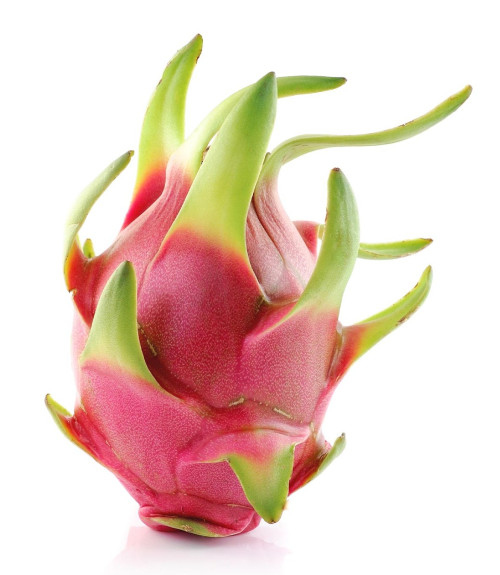 دراجون فروت أبيض بلدي حبة