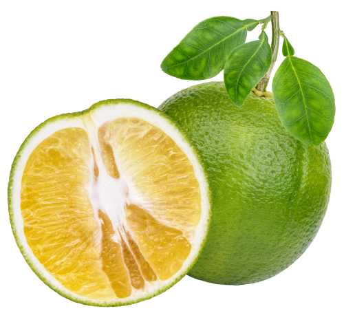 برتقال أبوصرة بلدي