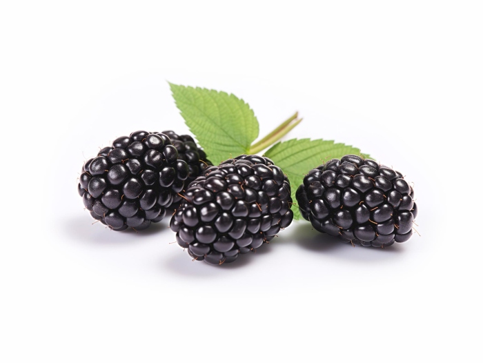 توت بري أسود مستورد 125غم