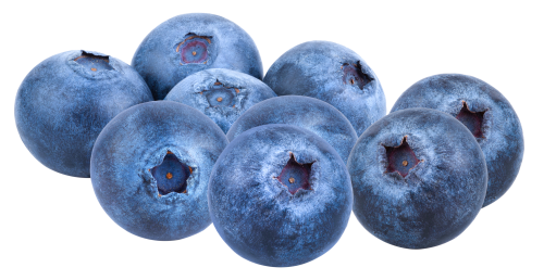 توت أزرق برّي- بستان 125 غ