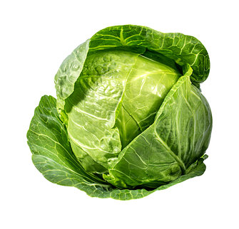 ملفوف - محلي