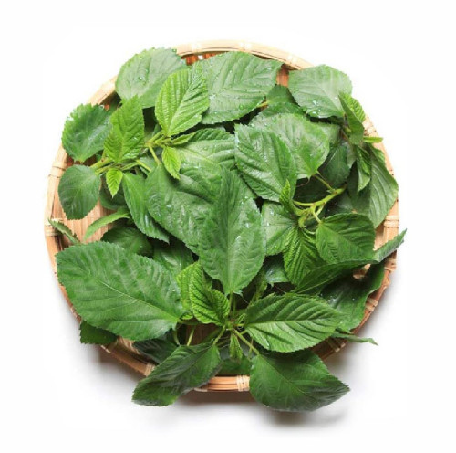 ملوخية - محلي