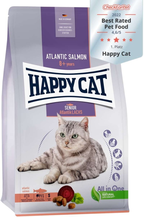 هبي كات سينيور 