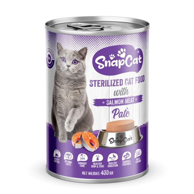 سناب كات باتي سالمون معقم 400g