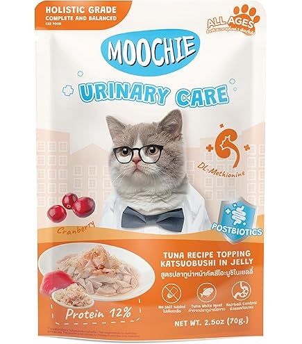 موشي للعناية بالمسالك البولية 