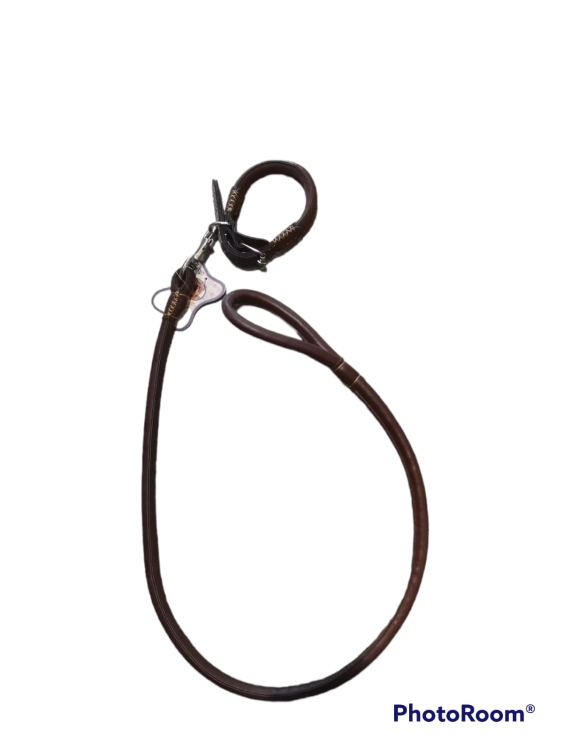 leather dog collar with leash Small-Medium