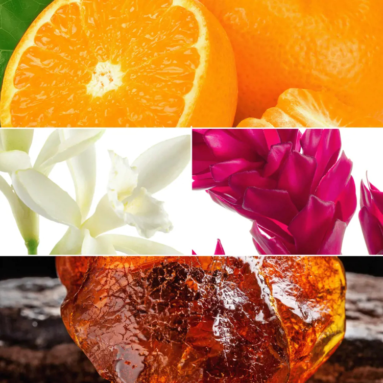 ALL OR NOTHING Amplified Parfum   50ML     46060