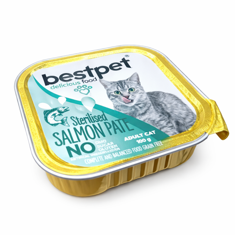 بيست بيت باتي سالمون 