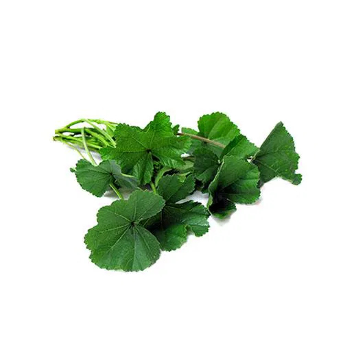 خبيزة 1 ربطة