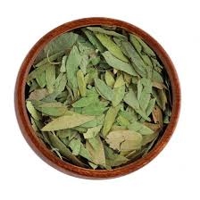 سلمكة ورق