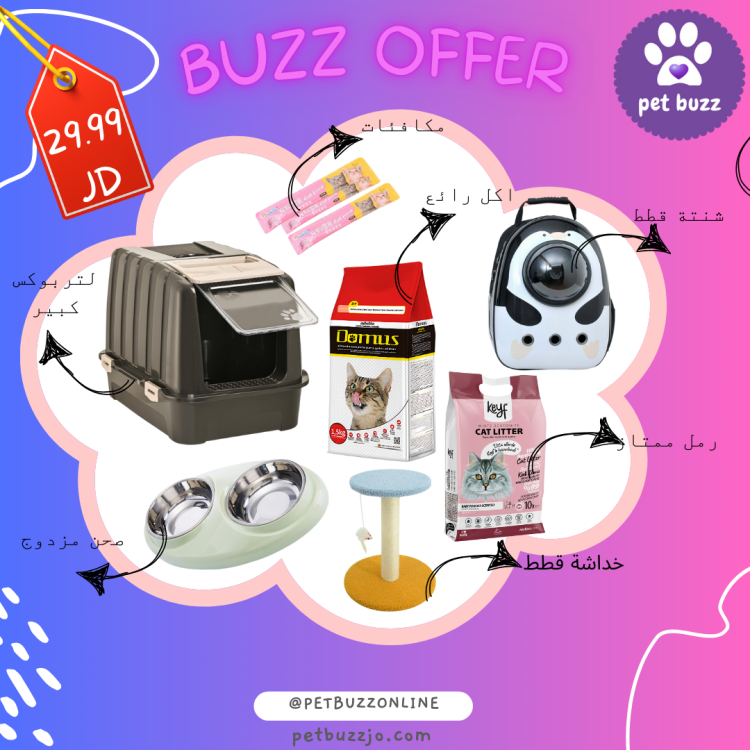 Crazy Cat offer all needed only 29.99jd