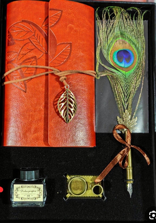  قلم مع محبرة