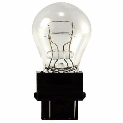 لمبة شعرتين غز امريكي ستوب او جنب شفاف