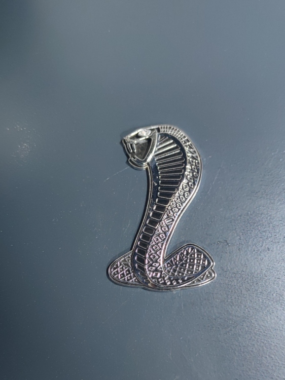 شعار SHELBY معدني