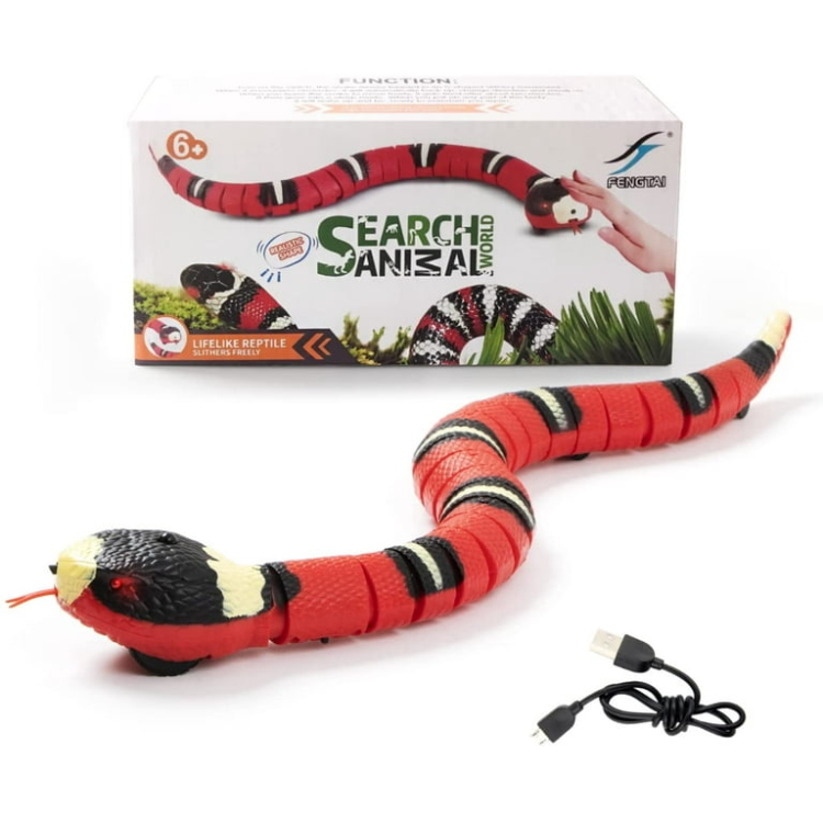 Cat snake 🐍 toy
