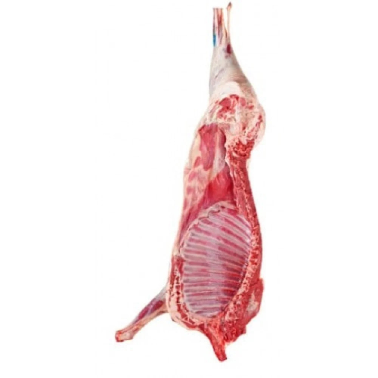 خاروف بلدي طازج