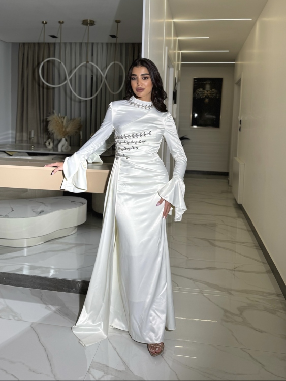 فستان ياسمين Long Sleeve Elegant Dress 