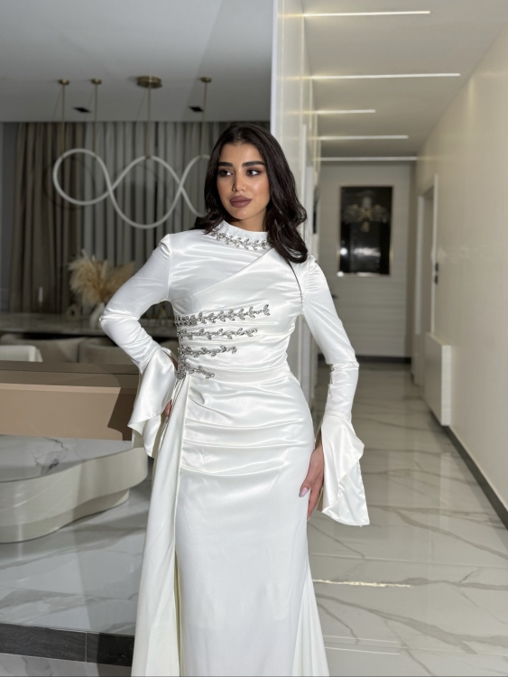 فستان ياسمين Long Sleeve Elegant Dress 
