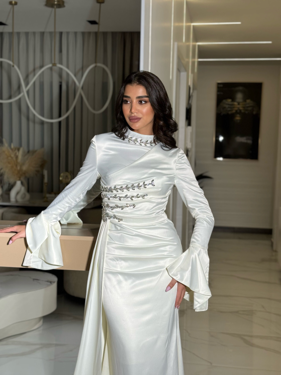 فستان ياسمين Long Sleeve Elegant Dress 