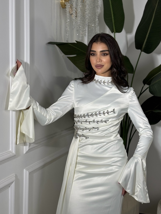 فستان ياسمين Long Sleeve Elegant Dress 
