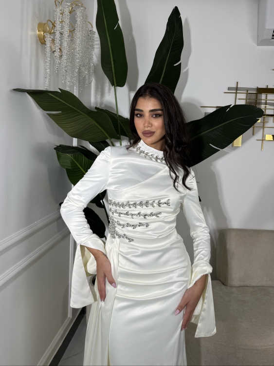 فستان ياسمين Long Sleeve Elegant Dress 