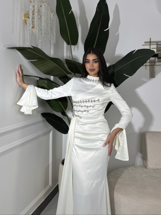 فستان ياسمين Long Sleeve Elegant Dress 