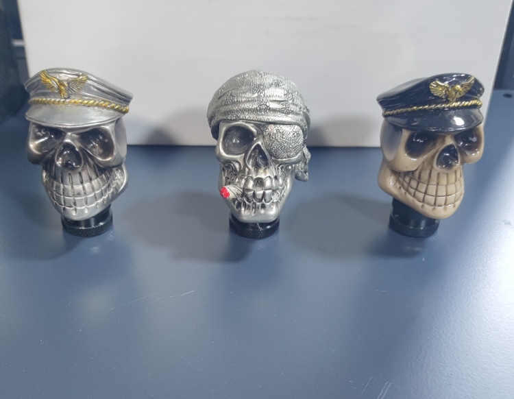 مسكة جير جمجمة