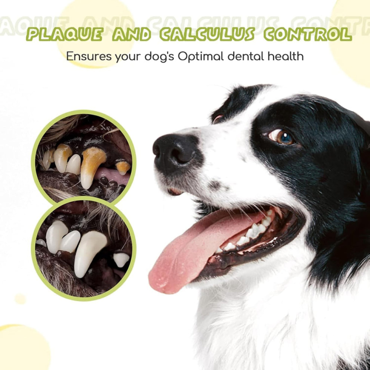 بكج معجون الاسنان للكلاب والقطط 