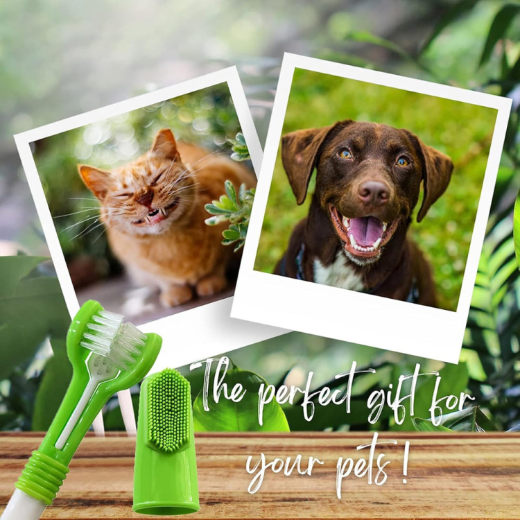 بكج معجون الاسنان للكلاب والقطط 