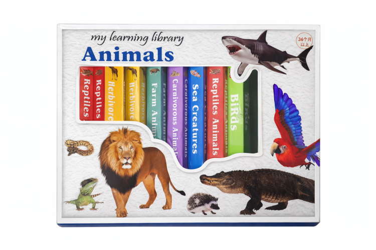 كتيب تعليمي للأطفال